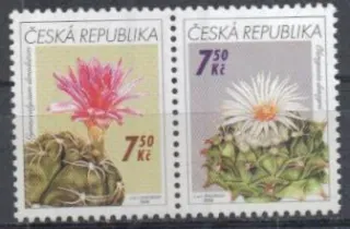 0484-0485 ST **