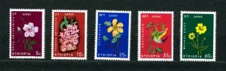 0495-0499 Kvety