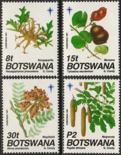 0501-0504 Flora