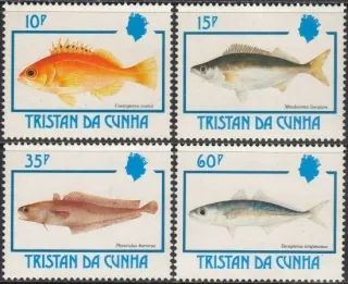 0526-0529 FAUNA
