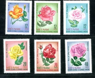0526-0531A Kvety
