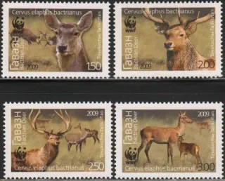 0527-0530 Fauna