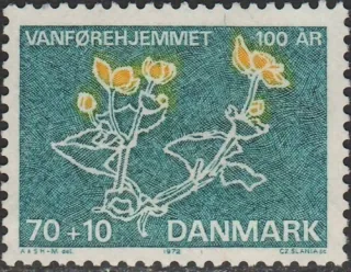 0529