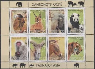 0531-538A/KL FAUNA