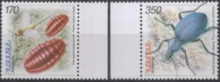 0538-0539