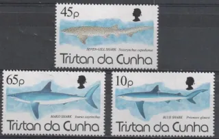 0564-0566 Fauna