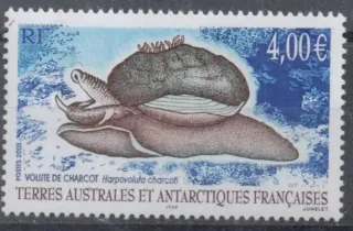 0564 Fauna