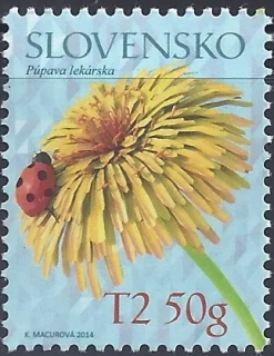 0566