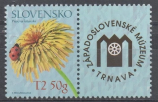 0566 KP