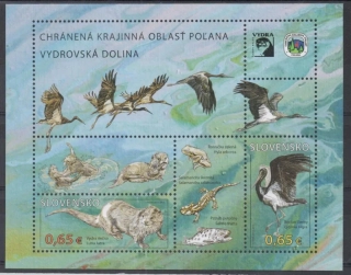 0595-0596 PL