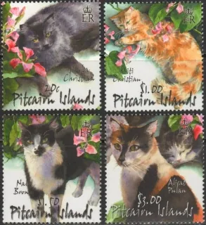0609-0612 Mačky