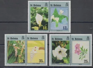 0620-0625 Kvety