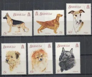 0621-0626 Fauna