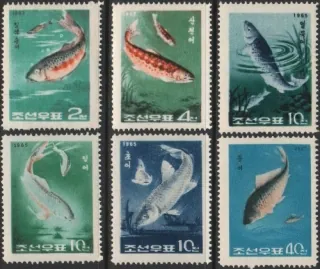 0621-0626 Fauna