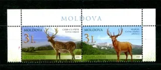 0623-0624 Fauna