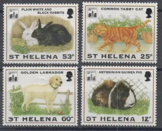 0626-0629 Fauna