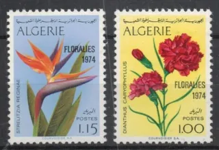 0628-0629 Flora