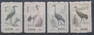 0647-0650 Vtaky
