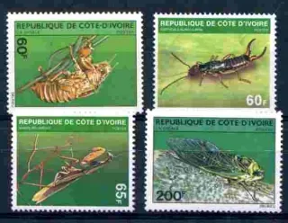 0656-0659 FAUNA