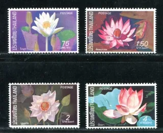 0662-0665 Kvety