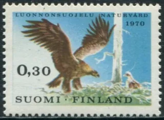 0667 Vtáky