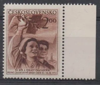 0696 DV