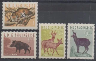 0704-0707 Fauna