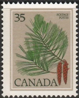 0719 Flora