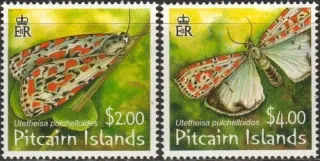 0729-0730 Motýle