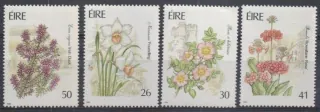 0729-0732 Flora