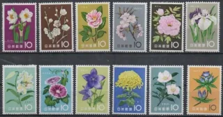0743-754 Kvety