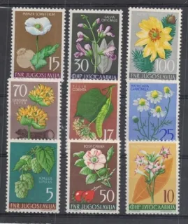 0765-0773 Flora