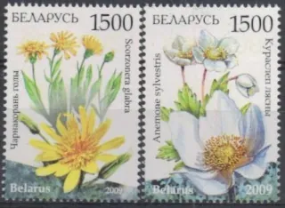 0769-770 Kvety
