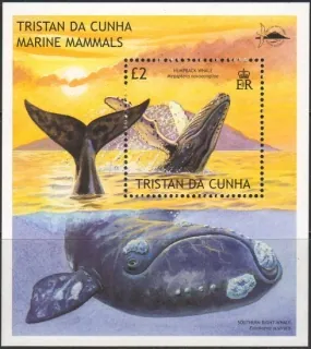 0778/BL43 FAUNA