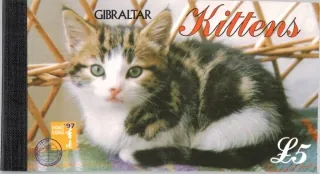 0787-0792 ZZ-8 Mačky