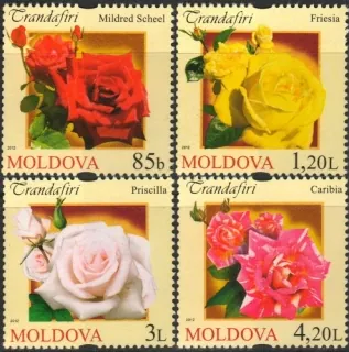 0805-0808 Kvety