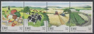 0806-0809