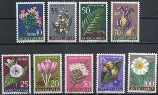 0812-0820 Flora