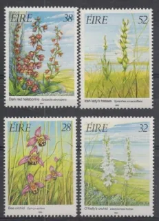 0821-0824 Flora