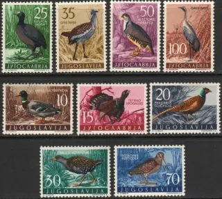0842-0850 Vtáky