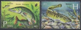 0870-871 Ryby