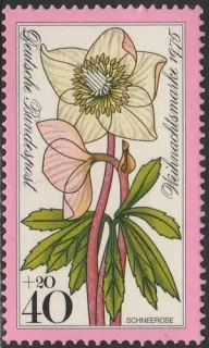 0874 Kvety