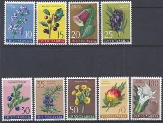 0882-0890 Kvety