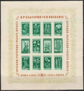 0886-0897/BL4 * Kvety