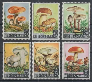 0891-0896 Hriby