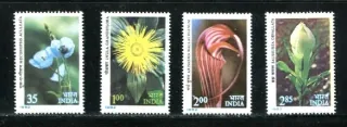 0908-0911 Kvety