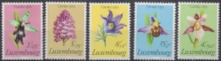 0914-0918 Kvety