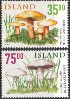 0915-0916 Hríby