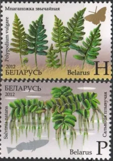 0917-0918 Flora