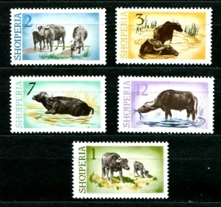 0921-0925 Fauna